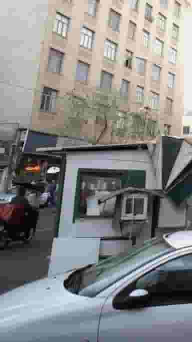 گیاهان دارویی در مجیدیه