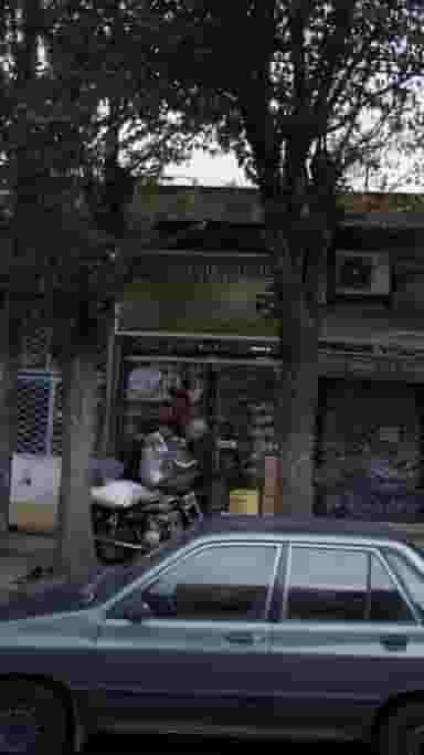 گیاهان دارویی عطار خراسان در شهادت