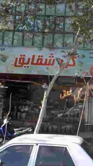 گل شقایق در کوهک