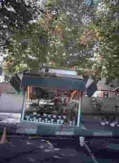 دکه گل فروشی در ولنجک