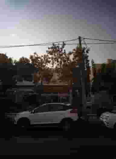 گل فروشی در باغ آذری