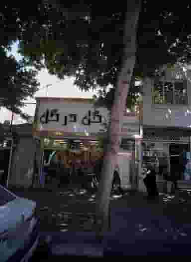 گل در گل در سرآسیاب مهرآباد