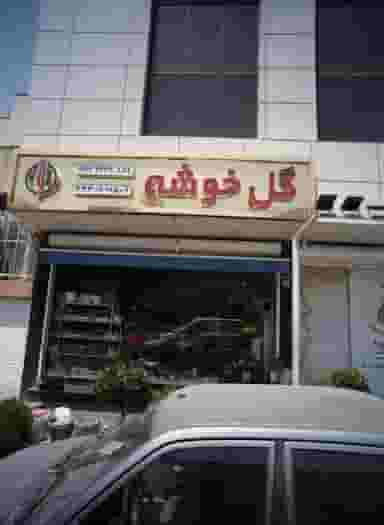 گل خوشه در شکوفه