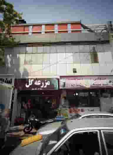 مزرعه گل در مقدم