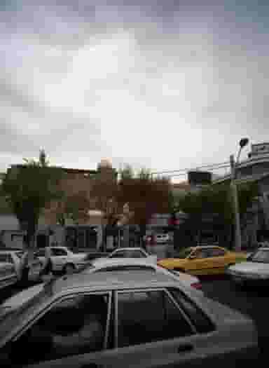 گلفروشی در شمیران نو