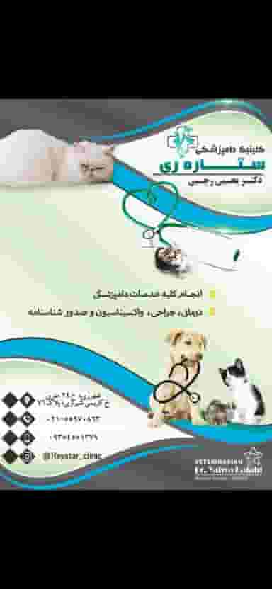 کلینیک دامپزشکی ستاره ری