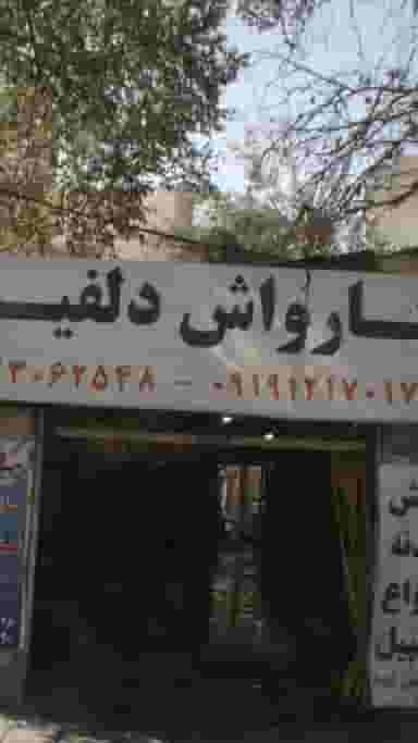 کارواش دلفین در شاهد