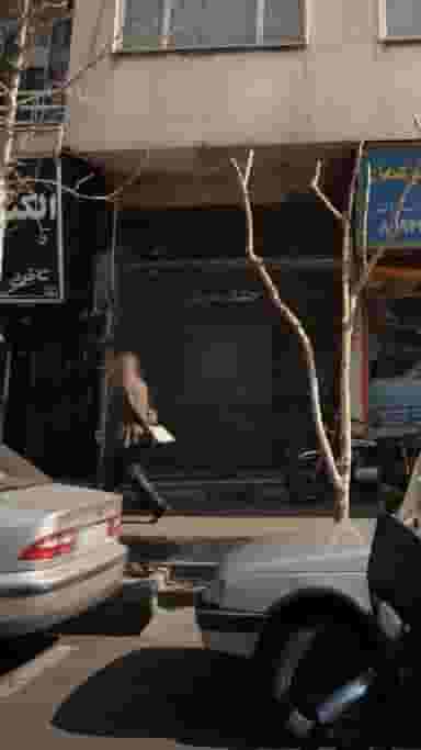 خشکشویی در عباس آباد