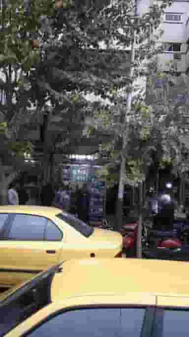 فروشگاه صدف در فردوسی