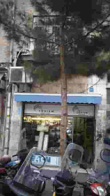 الکترو باقری در فردوسی