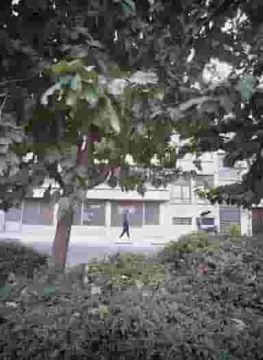 الکتریکی مرادیان در سلسبیل شمالی