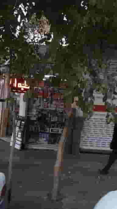 الکتریکی صداقت در قلمستان