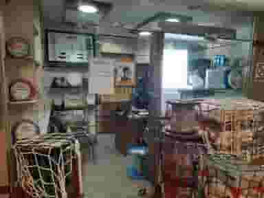 آذین الکتریک در فردوسی