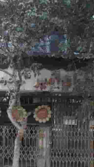 پرده سرای امیر در صادقیه