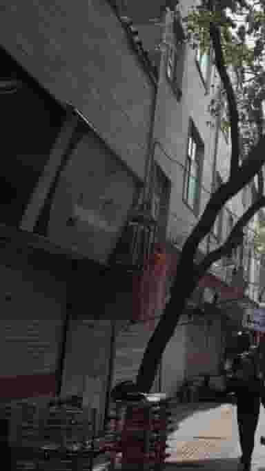 پرده سرای آریا در عبدل آباد