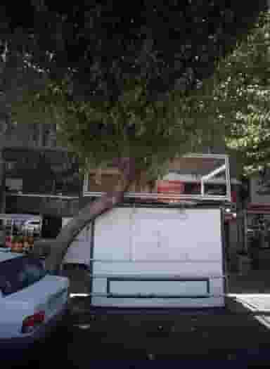 شیرینی فروشی در فردوسی