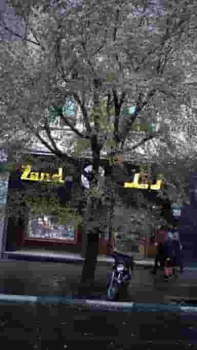 کتاب‌فروشی فراموشی نشر نیماژ در ایرانشهر