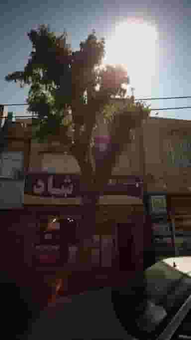 کتاب و لوازم التحریر شاد در شیوا