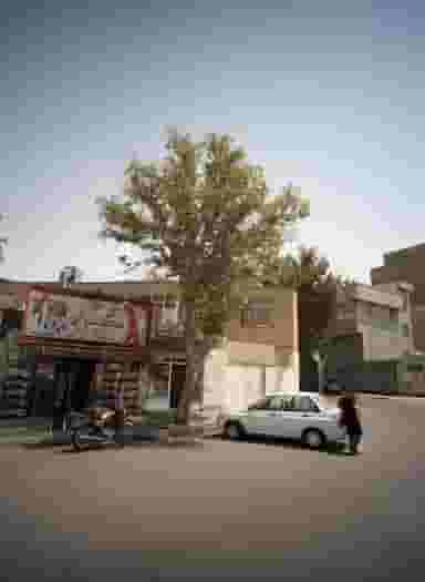 کاهی کپه کلوچه در دولت آباد