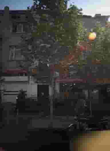 فروشگاه کیک و کلوچه در انقلاب