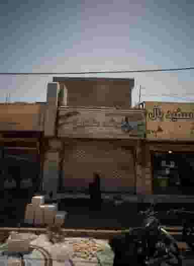 کیک و کلوچه پزی خوشه طلایی در خلیج فارس جنوبی