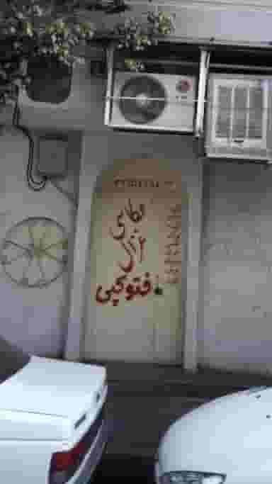 عکاسی غزال در افسریه شمالی