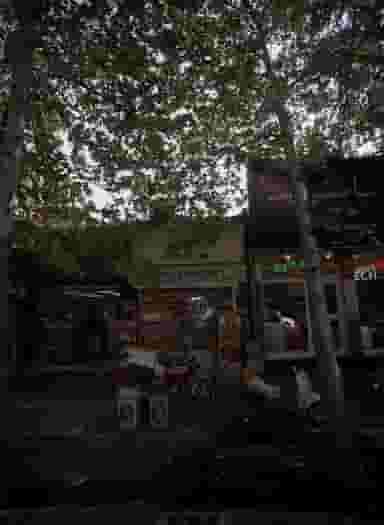 عکاسی چکاوک در الهیه