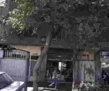 برنج فروشی در شکوفه