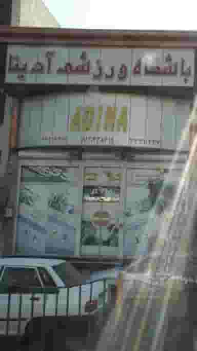 باشگاه ورزشی آدینا بانوان در چهارصد دستگاه