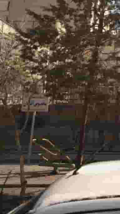 دستگاه بدنسازی مخصوص آقایان در داوودیه