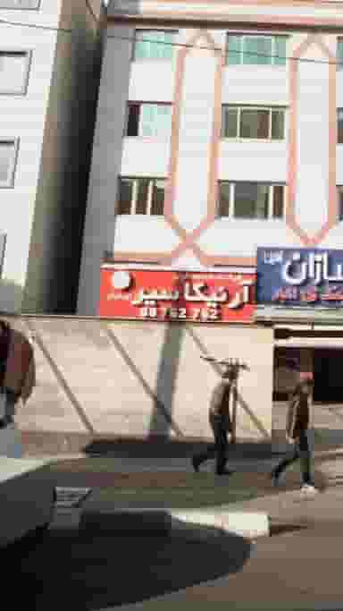 شرکت خدمات مسافرتی آرنیکا سیر ایرانیان در نیلوفر