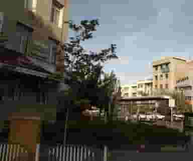 آژانس مسافرتی وستا گستر صالح در عباس آباد