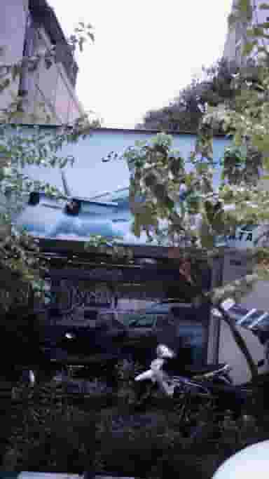 استقلال در نجات اللهی