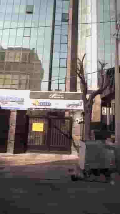 شرکت خدمات مسافرت هوایی و جهانگردی آمیتیس بال پارس در نیلوفر