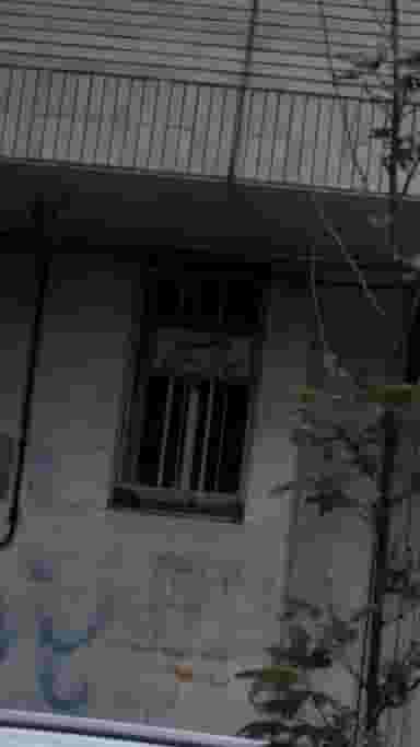 رادیولوژی و سونوگرافی دکتر عطری در دانشگاه تهران