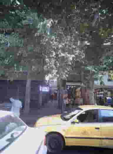 رادیولوژی ری در استخر