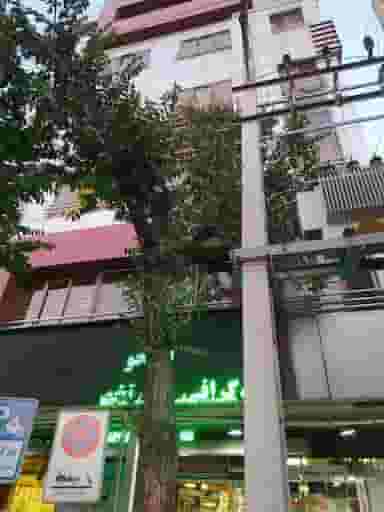 درمانگاه شبانه‌روزی سلیم در علی آباد جنوبی