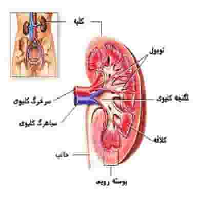 دیالیز درمانگاه سیدالشهدا (ع) در سنگلج