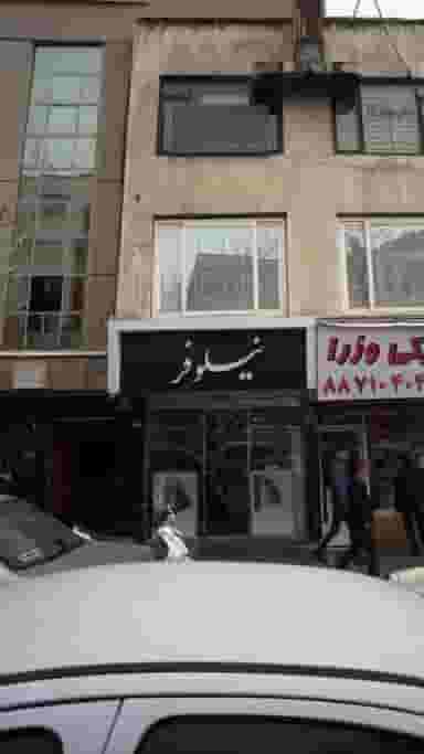 نیلوفر در آرژانتین