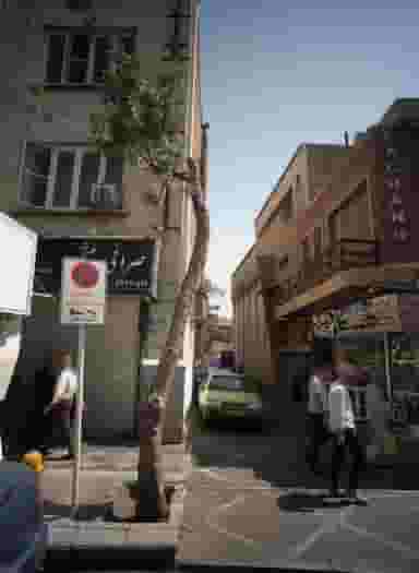 عطر و ادکلن آرش در فردوسی