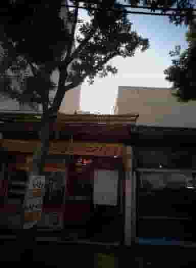 فروشگاه آکواریوم در سلیمانی