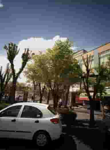 موداهم در مدائن