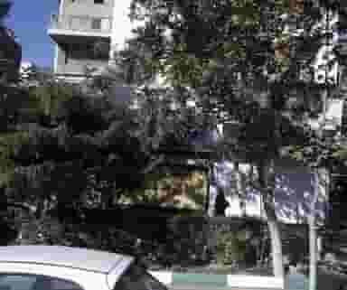 کیف و کفش آدینه شرق در مدائن