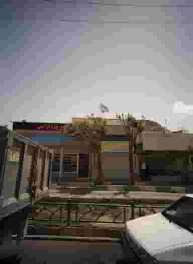 دایان باخ شوز در مسعودیه