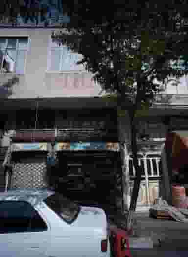 کوئین در گلچین