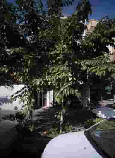 کیف فروشی علی پاشا در سبلان