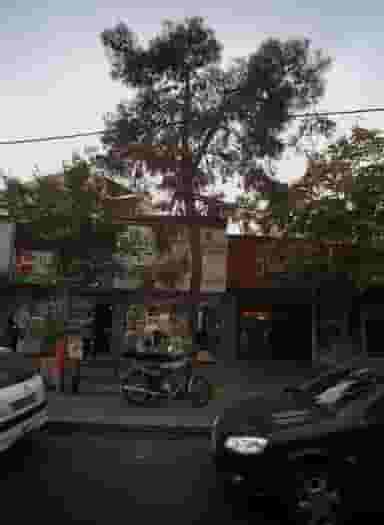 گالری ساعت در دریان نو