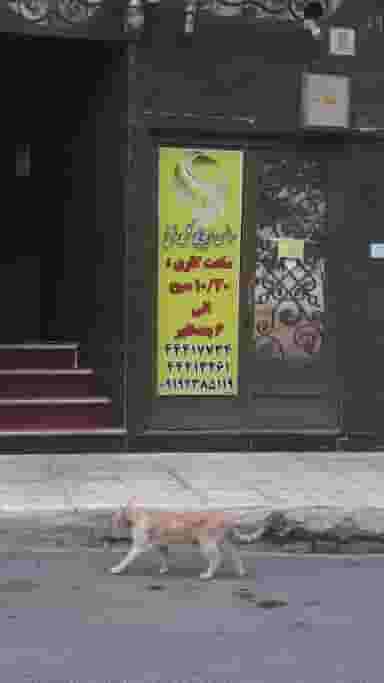 سالن آرایش خاتون در جنت آباد جنوبی