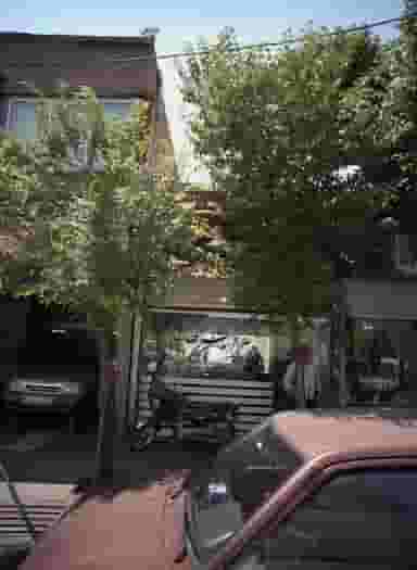 پیرایش طاها در خزانه