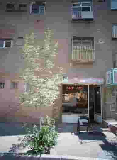 پیرایش مهدی در کیانشهر شمالی